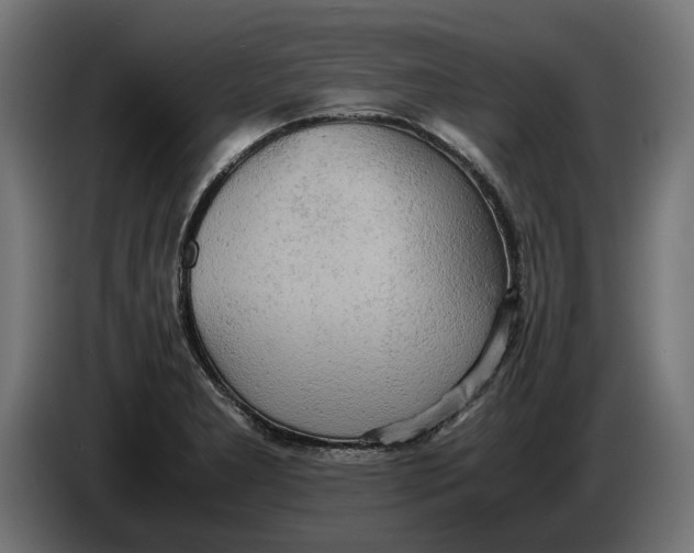 X0000086091277200704132117