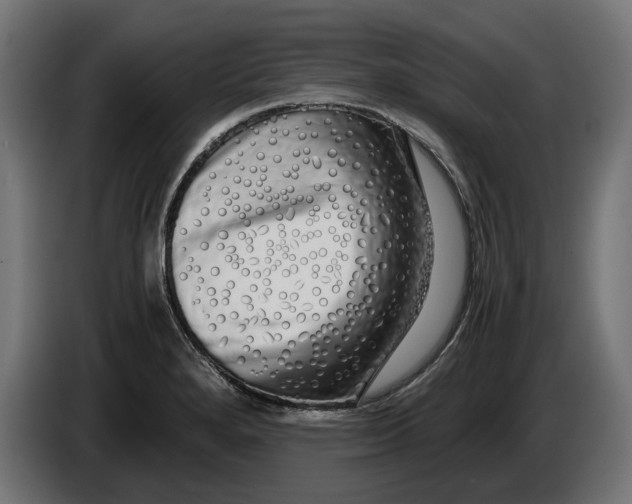 X0000086091280200704132117