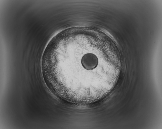 X0000086091283200704132117