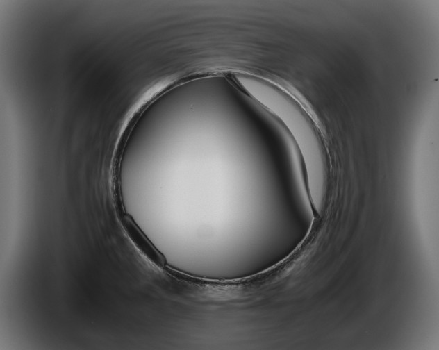 X0000086091285200704132117