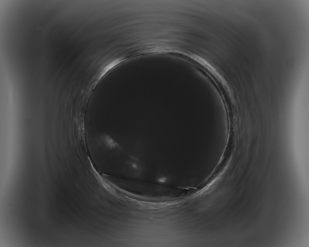 X0000086091289200704132117