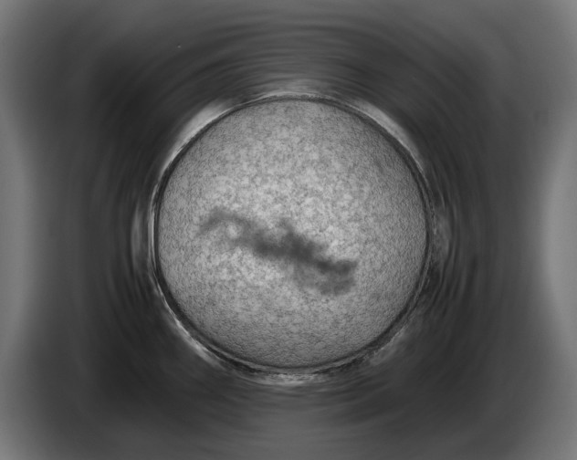 X0000086091290200704132117