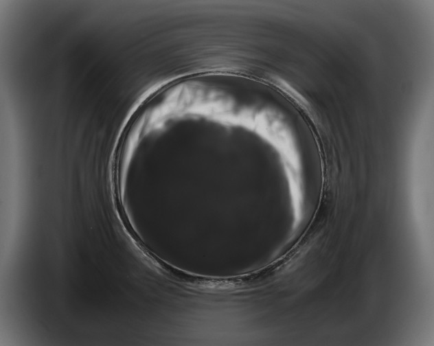 X0000086091291200704132117