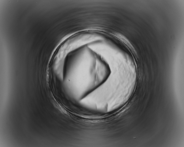 X0000086091292200704132117