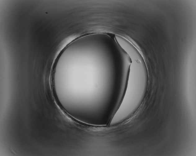 X0000086091293200704132117