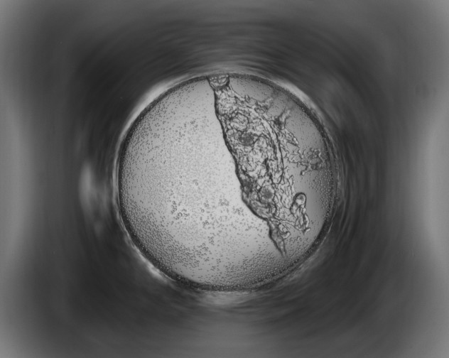 X0000086091294200704132117