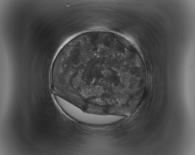 X0000086091295200704132117