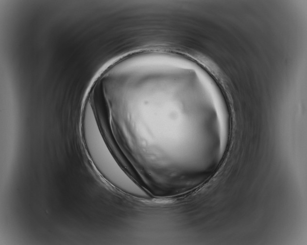 X0000086091296200704132117