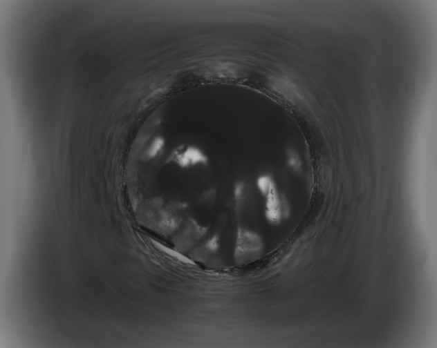 X0000086091297200704132116