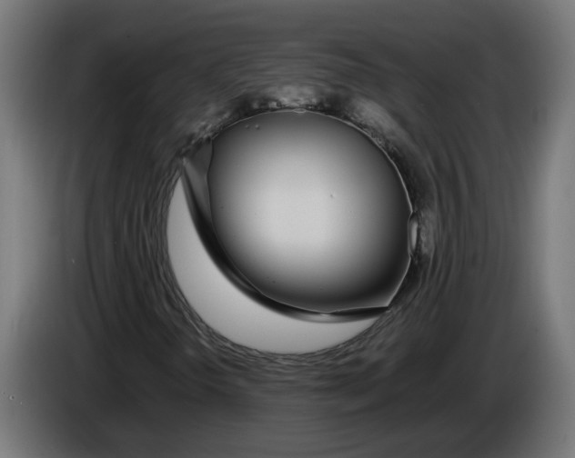 X0000086091298200704132116