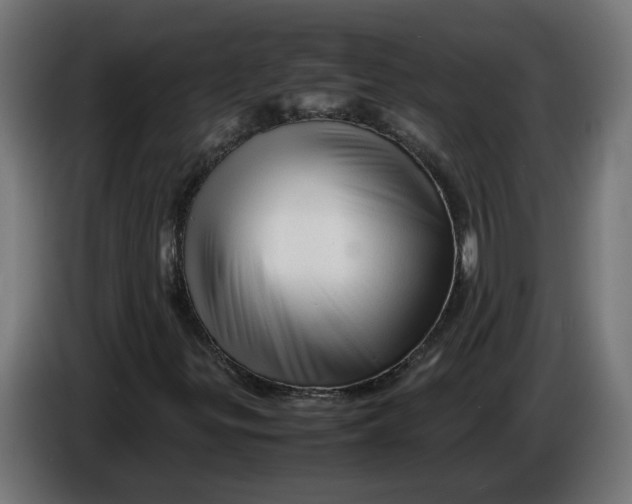 X0000086091299200704132116