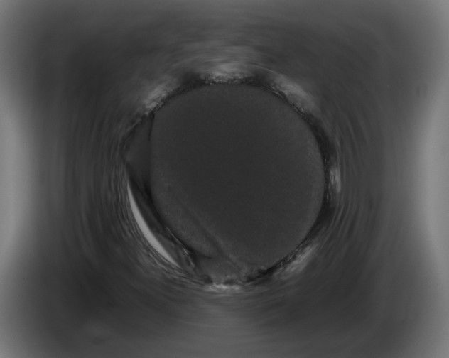 X0000086091300200704132116