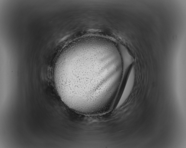 X0000086091301200704132116