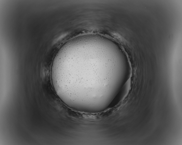 X0000086091302200704132116