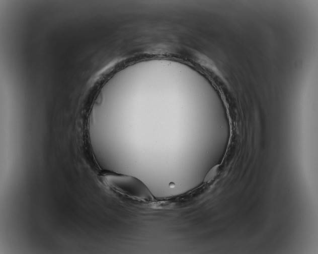 X0000086091304200704132116