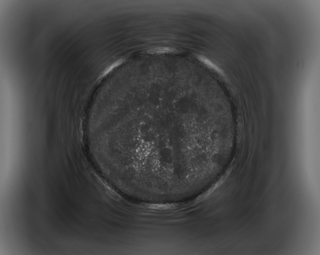 X0000086091305200704132116