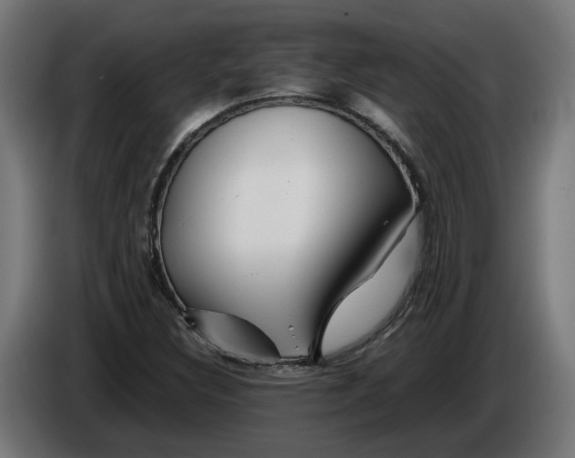 X0000086091308200704132116