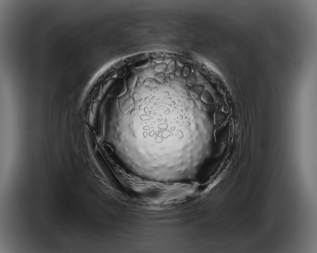 X0000086091310200704132116