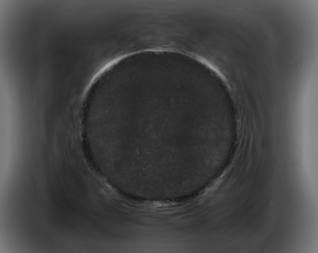 X0000086091311200704132116