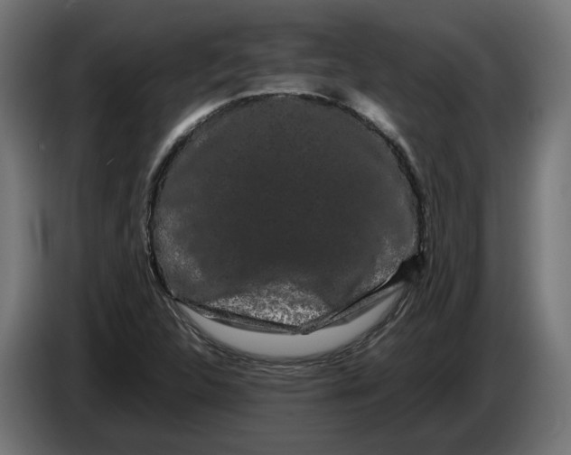 X0000086091312200704132116