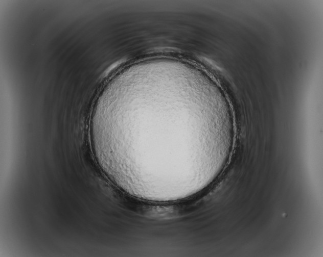 X0000086091313200704132116