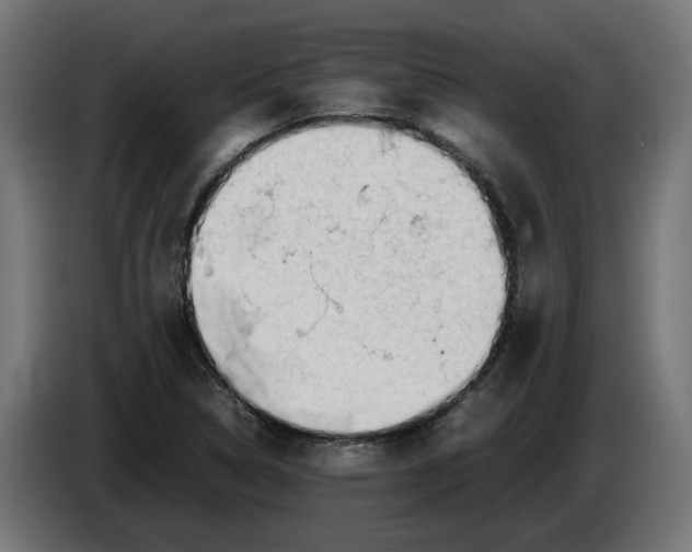 X0000086091314200704132116