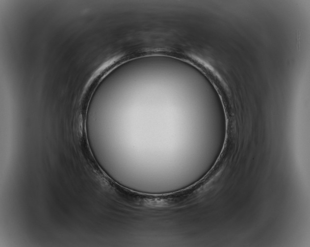 X0000086091317200704132116