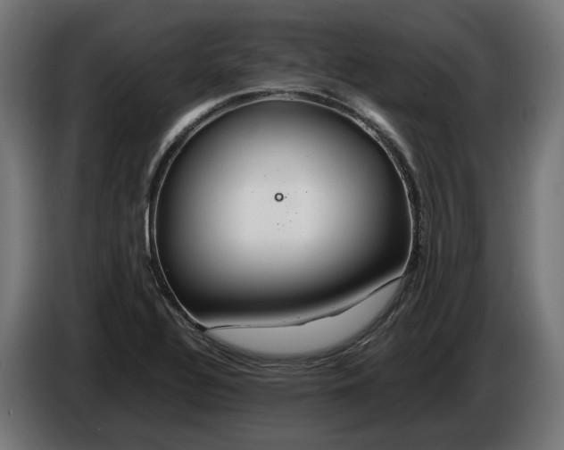 X0000086091320200704132117