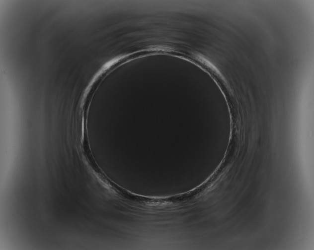 X0000086091323200704132117