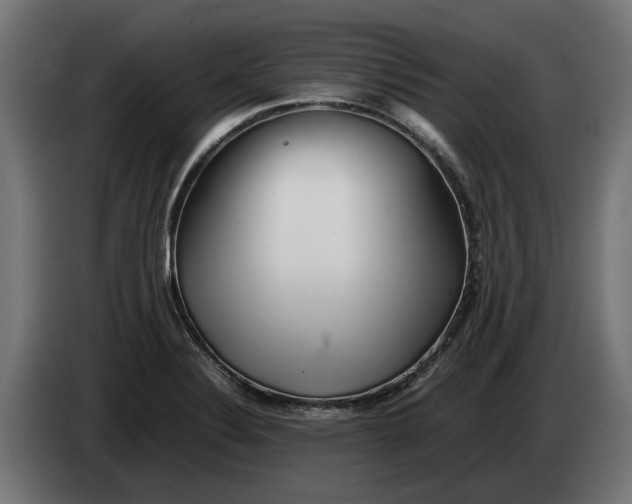 X0000086091324200704132117