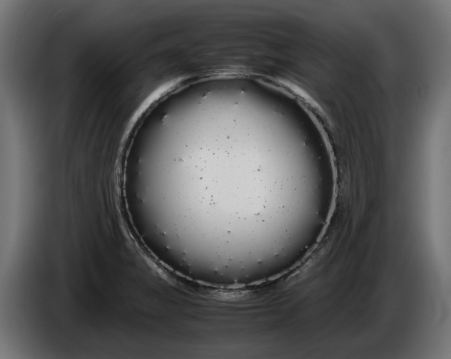 X0000086091325200704132117