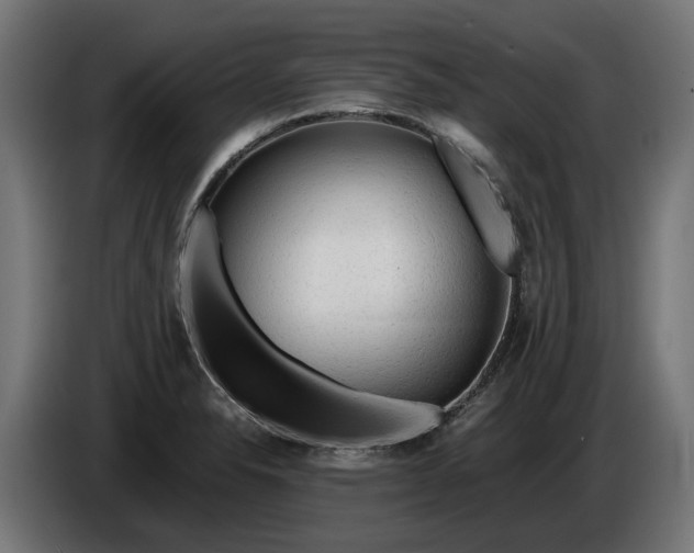 X0000086091326200704132117