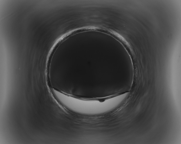 X0000086091327200704132117