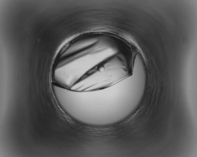 X0000086091328200704132117