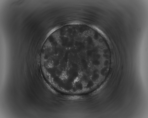 X0000086091329200704132117