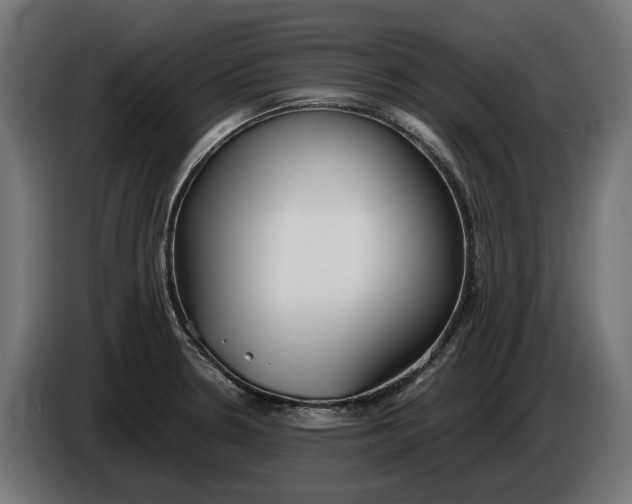 X0000086091330200704132117