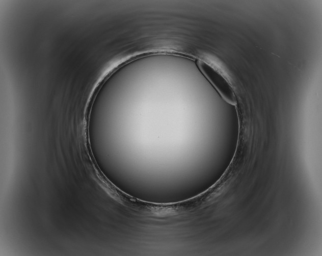 X0000086091332200704132117