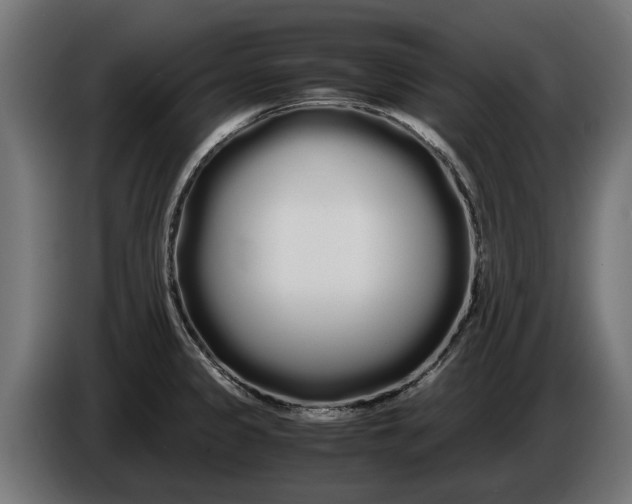 X0000086091333200704132117