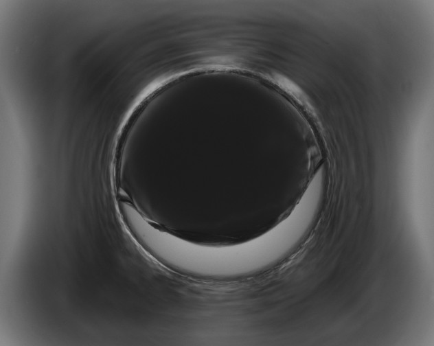 X0000086091334200704132117