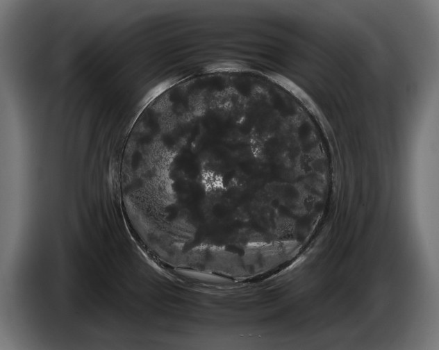 X0000086091337200704132117