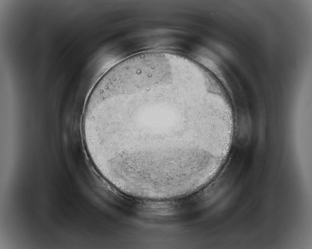 X0000086091338200704132117