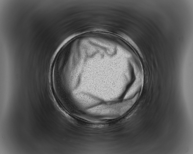 X0000086091339200704132117