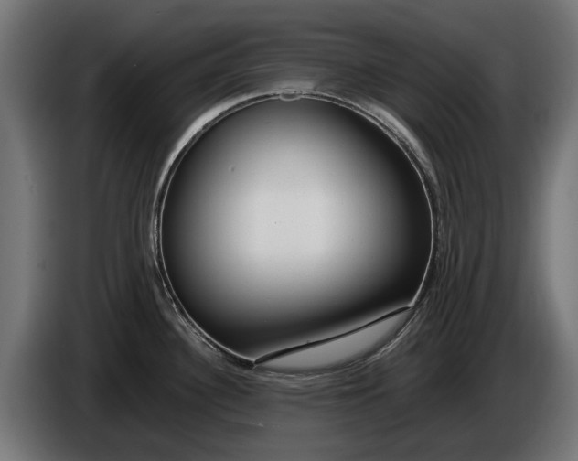 X0000086091340200704132117