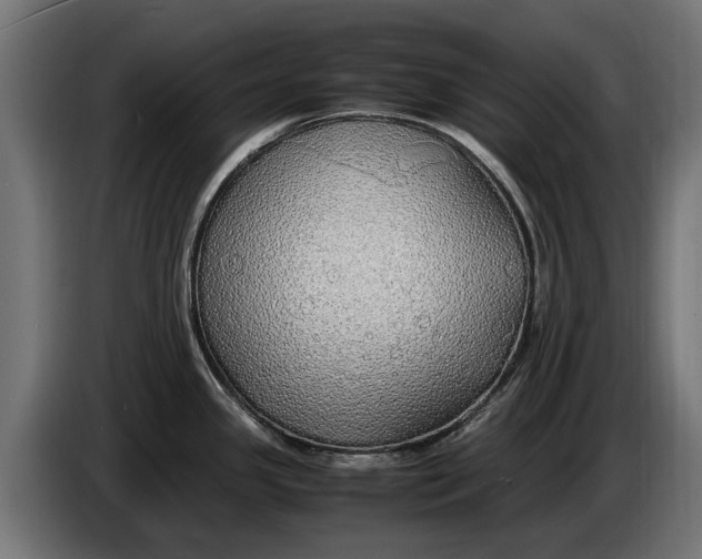 X0000086091341200704132117