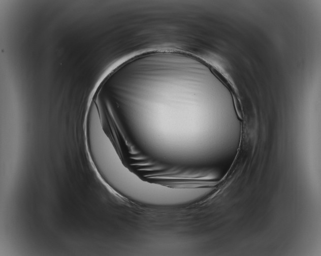 X0000086091343200704132117