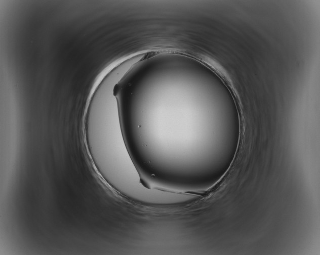 X0000086091344200704132117