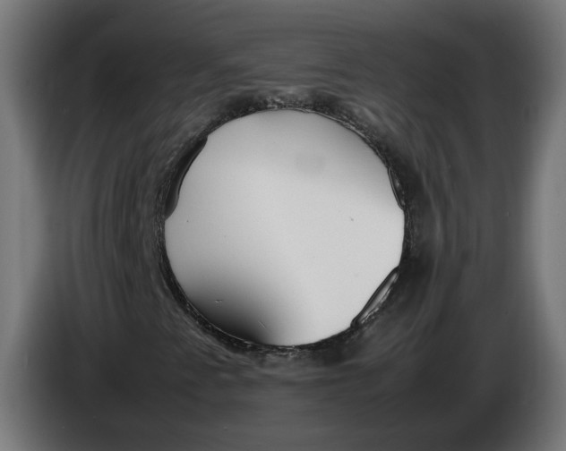 X0000086091345200704132116