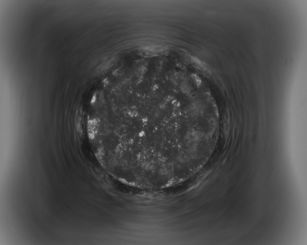 X0000086091346200704132116