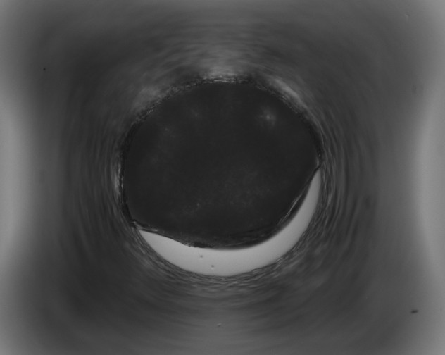 X0000086091348200704132116