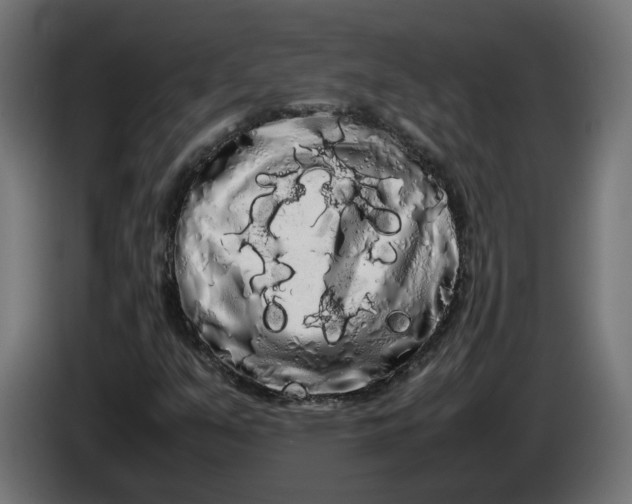 X0000086091351200704132116